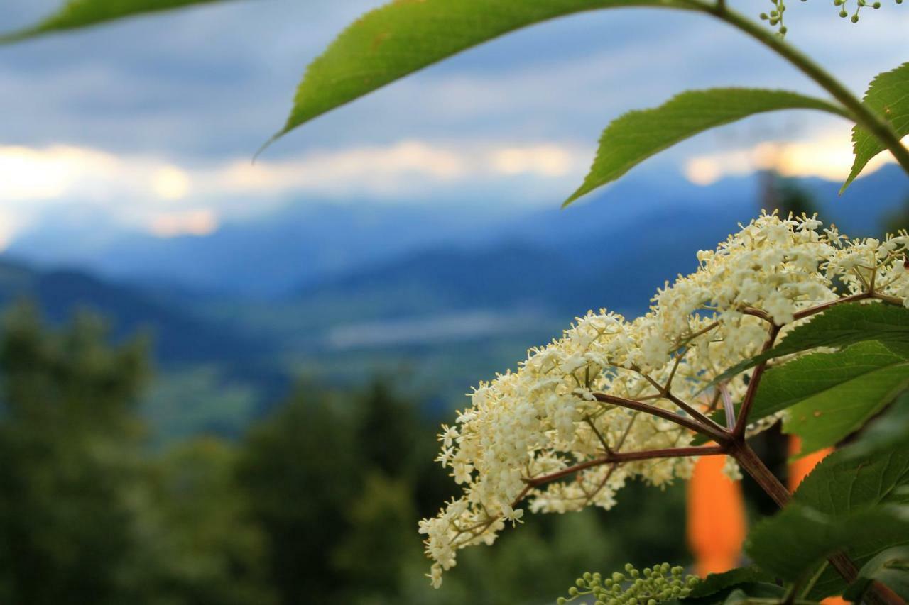 KössenScheibenwald Huette别墅 外观 照片